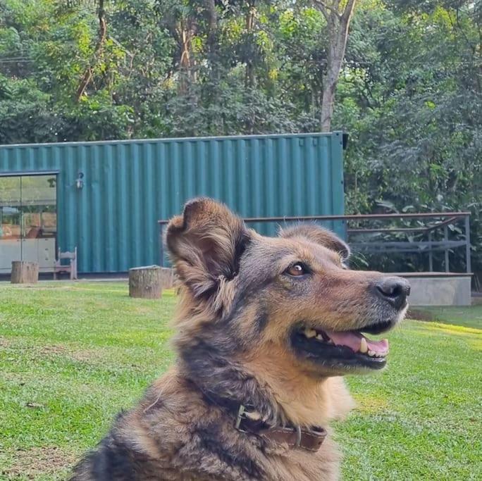 Casa Container Na Represa De Guarapiranga! Sonho! Villa เซาเปาโล ภายนอก รูปภาพ